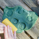 Let's Roll - Garden Bugs pk 6