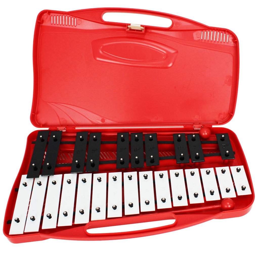 METALLOFONO GLOCKENSPIEL 25 Notes Soundsation SG-25C Avec Étui, Mailloches Et Cours De Musique