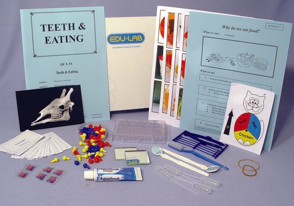 Mini Science Kit - Teeth and Eating (Each)