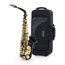 Elkhart 100AS student Eb alto saxophone outfit - Black lacquer