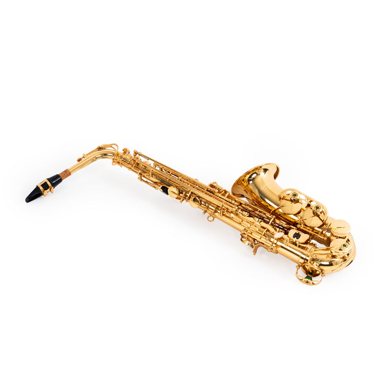 Elkhart 100As Student E♭ Alto Saxophone Outfit