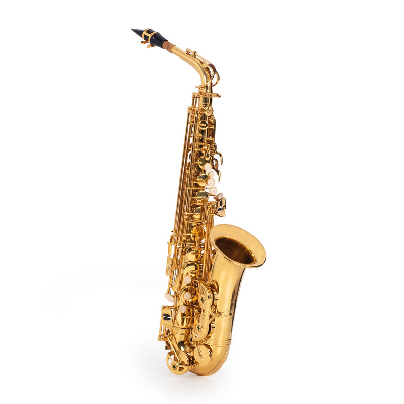 Elkhart 100As Student E♭ Alto Saxophone Outfit