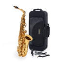 Elkhart 100As Student E♭ Alto Saxophone Outfit