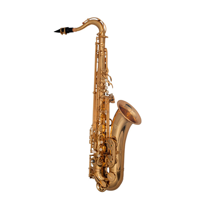 Elkhart 100Ts Student B♭ Tenor Saxophone Outfit