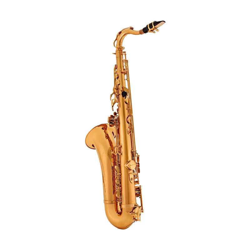 Elkhart 100Ts Student B♭ Tenor Saxophone Outfit