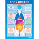 POSTER SET, The Human Body, Pack of, 5