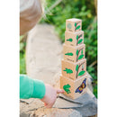 LIFE CYCLE WOODEN BLOCKS, Age 1+, Set
