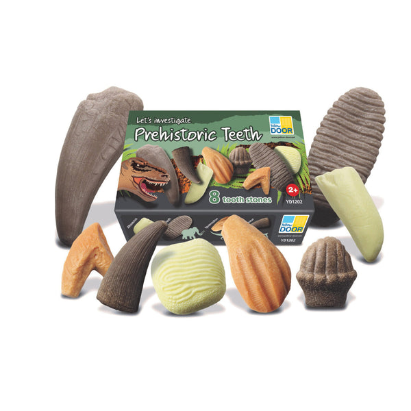 Lets Investigate Historic Teeth