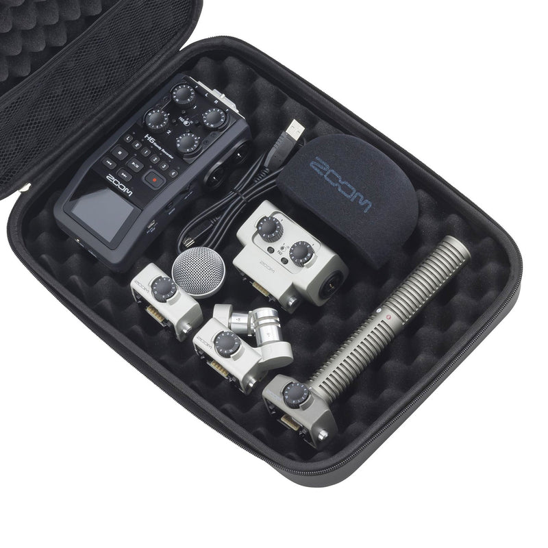 Zoom universal carry case