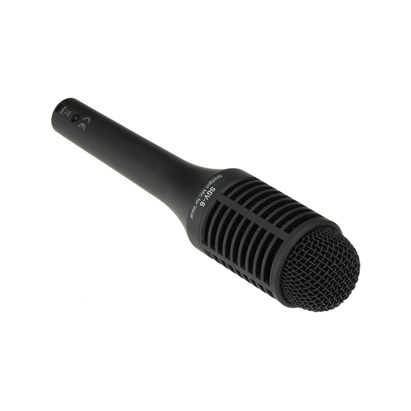 Zoom SGV-6 vocal mic