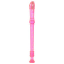 Recorder Workshop Descant Recorder In Transparent Colours - Pink