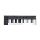 Korg Keystage MIDI keyboard controller - 49 keys