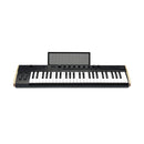 Korg Keystage MIDI keyboard controller - 49 keys