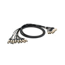 Pro Neutrik 8-way XLR loom - 5m