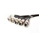 Pro Neutrik 8-way XLR loom - 7m