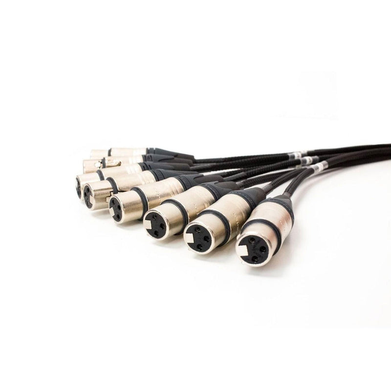 Pro Neutrik 8-way XLR loom - 2.5m