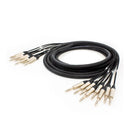 Pro Neutrik 8-way balanced jack loom - 5m