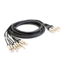 Pro Neutrik 8-way balanced jack loom - 5m