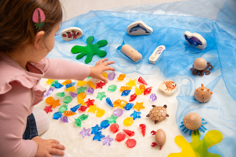 TRANSLUCENT COLOUR SHELLS