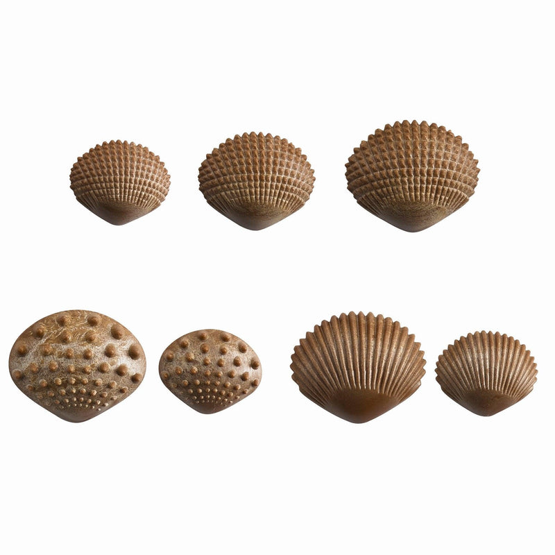 Green-n-learn
Sensory Shells PK36