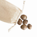 Green-n-learn
Sensory Shells PK36