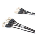 Pro Neutrik 4-Way XLR Loom - 3m
