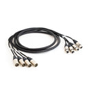 Pro Neutrik 4-Way XLR Loom - 3m