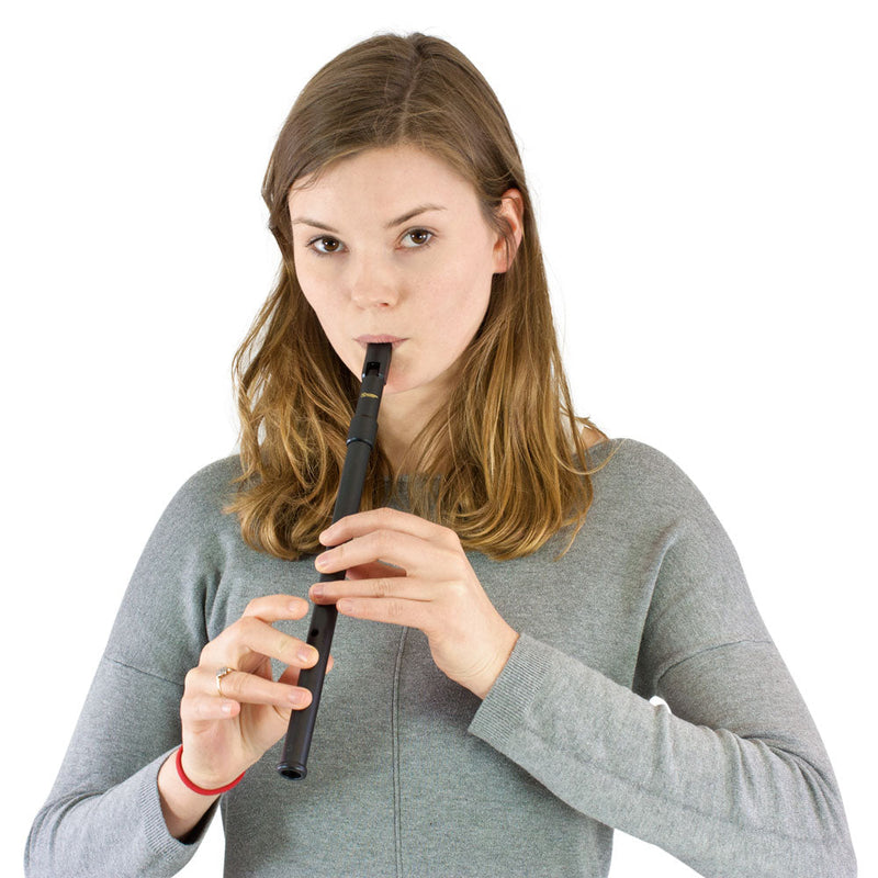 Recorder Workshop Irish Whistle - C