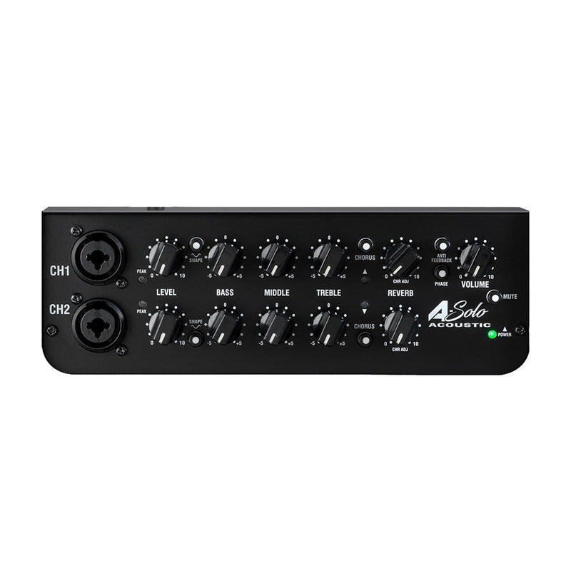 Laney A-Solo 60W acoustic guitar combo amplifier