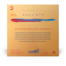 D'Addario Ascente Strings - Violin Set - 3/4 size