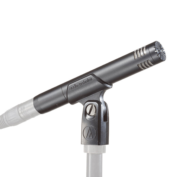Audio technica AT2031 cardioid condenser microphone