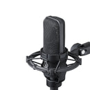 Audio Technica AT4033A condenser microphone