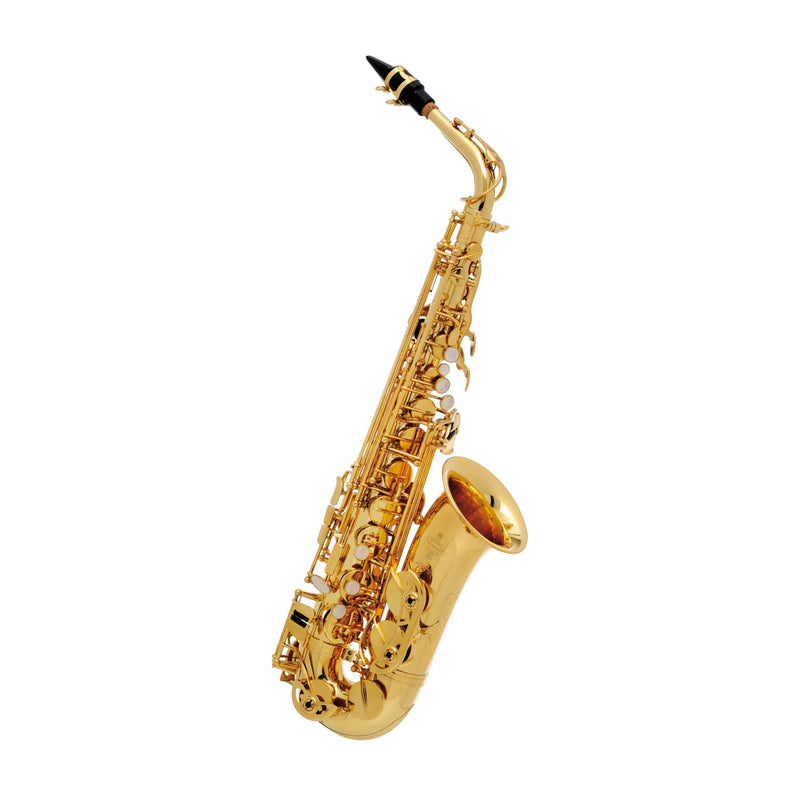 Buffet Crampon 100 series Eb alto saxophone outfit