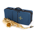 Buffet Crampon 100 series Eb alto saxophone outfit