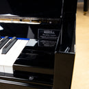 Bluthner Model D Upright Piano