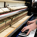 Bluthner Model D Upright Piano