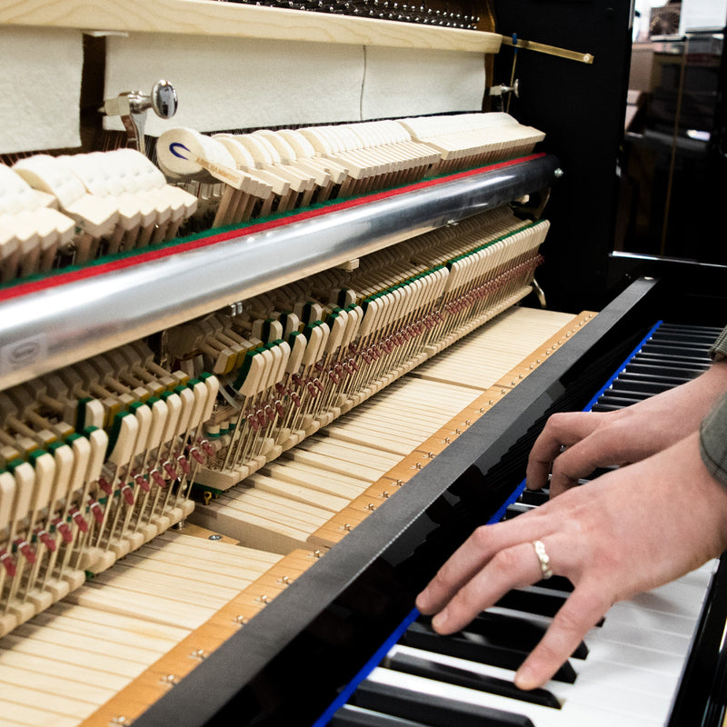 Bluthner Model D Upright Piano