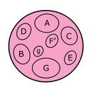 Jumbie Jam Table Top Steel Pan - Pink