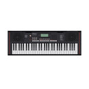 Roland E-X10 Arranger portable keyboard