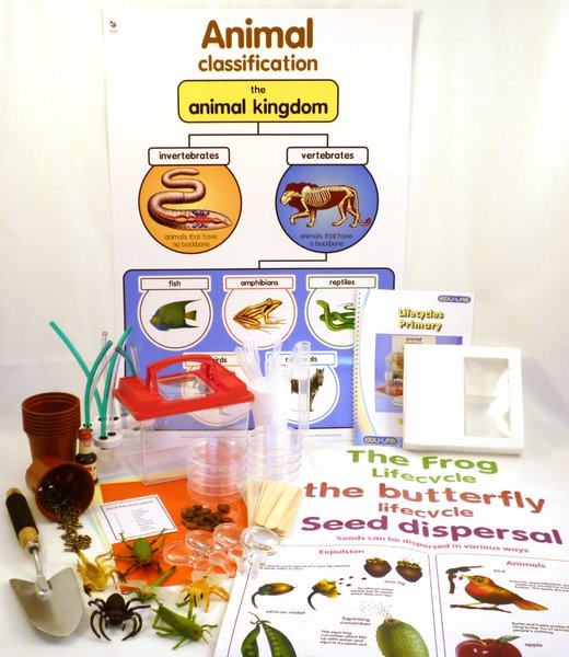 Macro Science Kit - Life Cycles