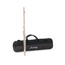 Armstrong FL650 student flute outfit