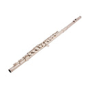 Armstrong FL650 student flute outfit