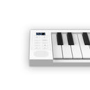 Carry-on 49-key foldable portable piano
