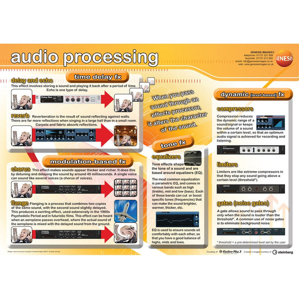 Audio processing - A1 educational poster