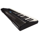 Roland Go:Piano (Go-61P) Portable Digital Piano