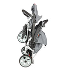 Familidoo 6 Seater Budget Stroller (with Raincover)