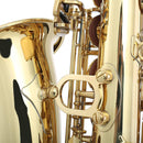 Jupiter Jas-500-Q Student E♭ Alto Saxophone Outfit