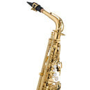 Jupiter JAS700Q student Eb alto saxophone outfit