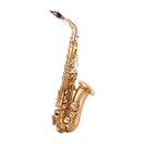 Jp Instruments Jp041 E♭ Alto Saxophone Outfit