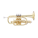 John Packer Jp071L B♭ Cornet Outfit